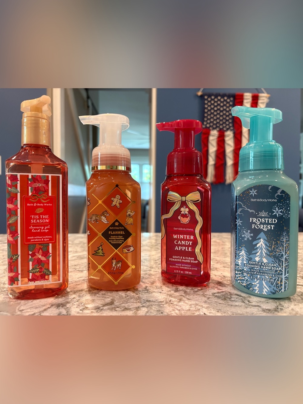 New Bath & Body Works Winter/Holiday Hand Soap- set of 4, 1 gel and 3 foaming